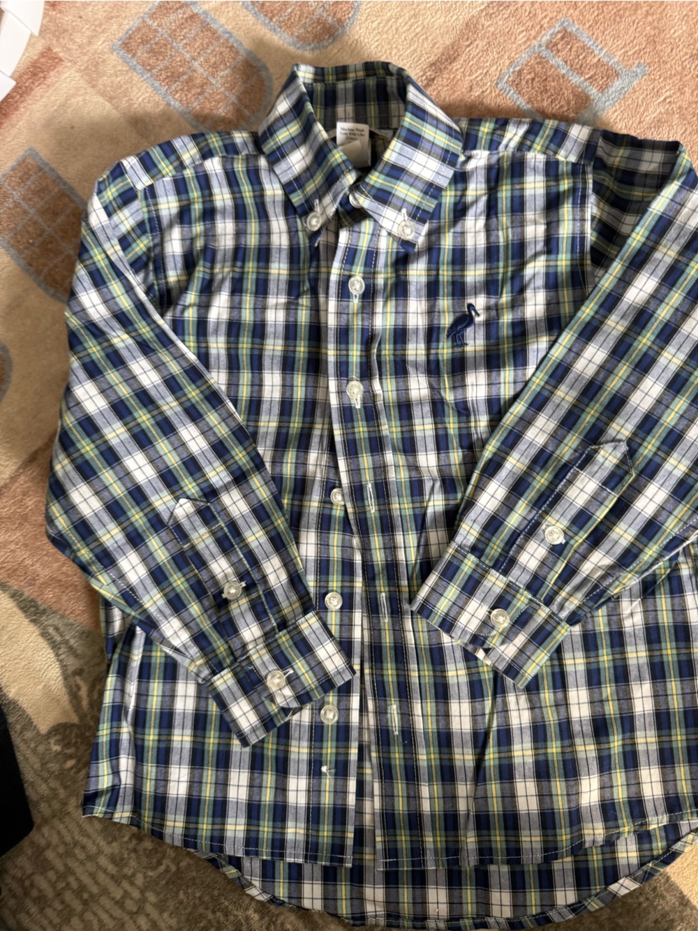 TBBC boys Blue and Green Plaid Button-Down Shirt